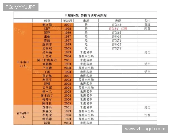 鲁能在中超联赛中的战绩与历史表现